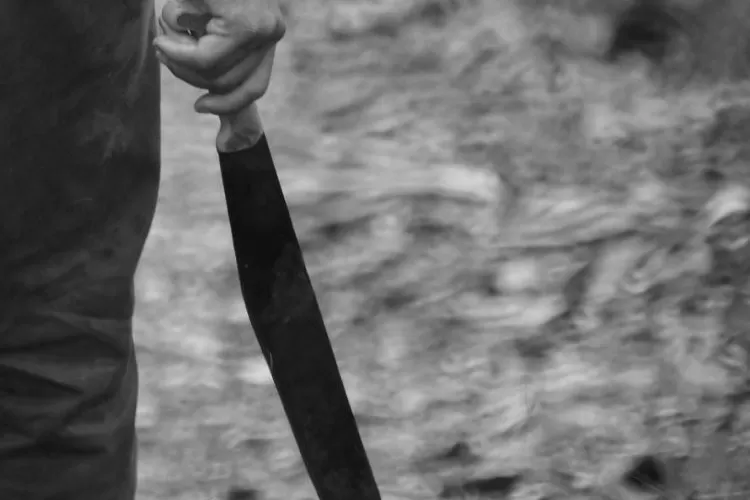 4153425514-750x536-1709836823