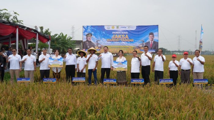 WhatsApp Image 2025-08-19 at 13.26.33