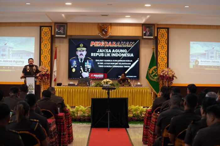 WhatsApp Image 2025-09-25 at 16.35.53 (1)