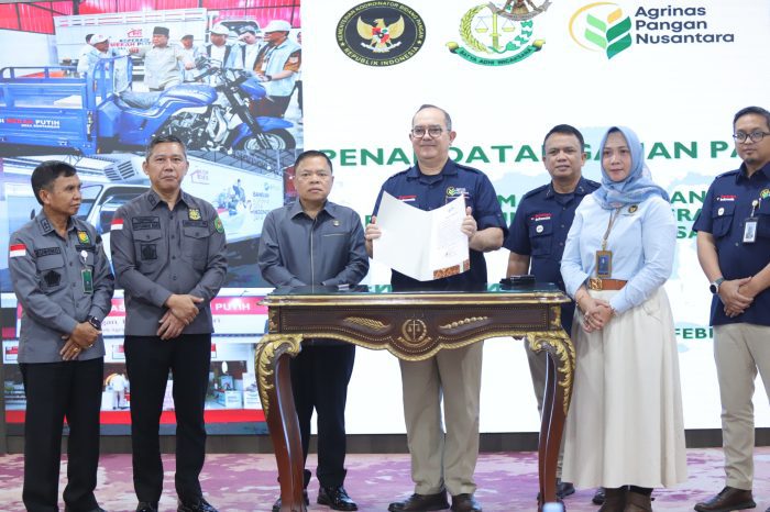 WhatsApp Image 2026-02-05 at 13.27.35