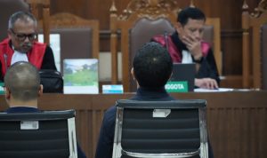 WhatsApp Image 2026-02-24 at 11.51.15