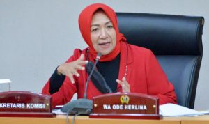 9658bcde5c617012f4e84b277df6e545